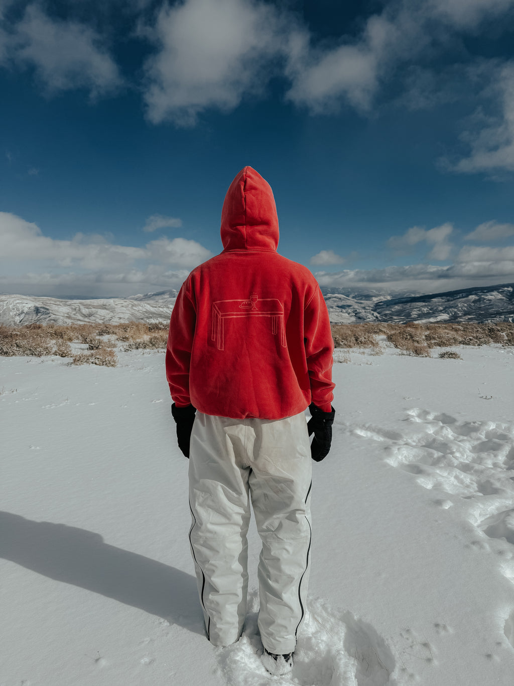 Red Hoodie